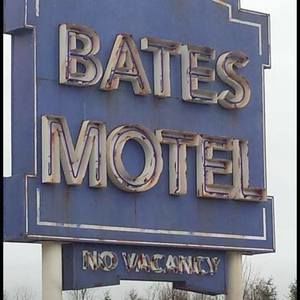 Meet your Posher, Ginger